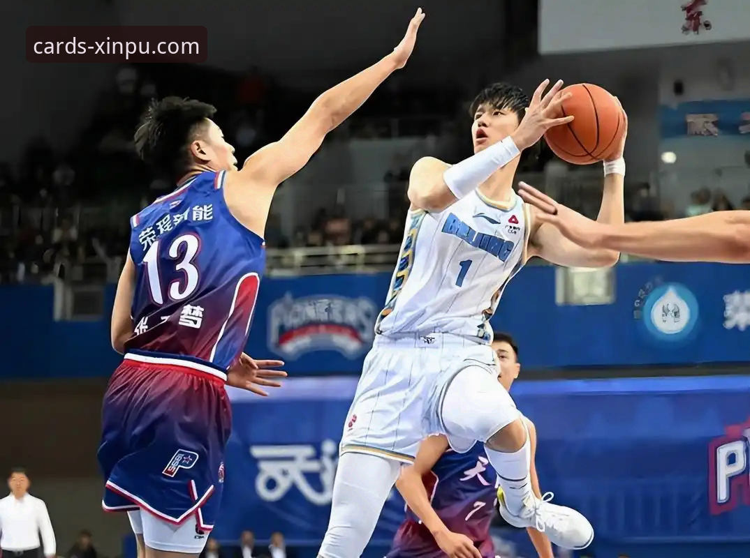 上海男篮豪取12连胜的背后：团队篮球如何成为制胜密码？